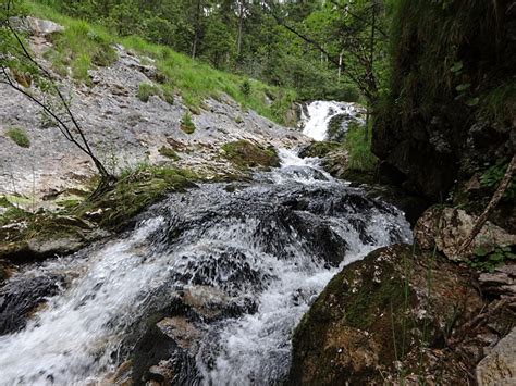 Bildet natur skog stein foss lita elv bekk villmark gå sti