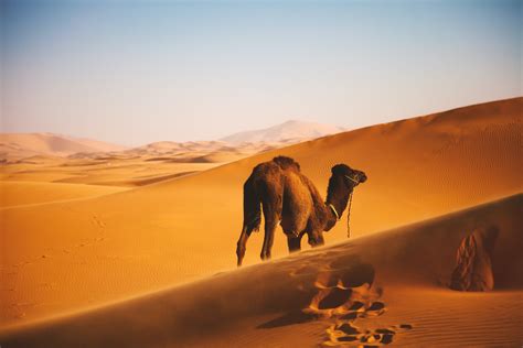 Dunes Far View Sky Africa Sand Nature Desert Landscape