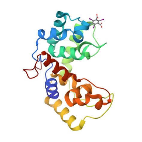 RCSB PDB 6O43 Crystal Structure Of A Lysin Protein From