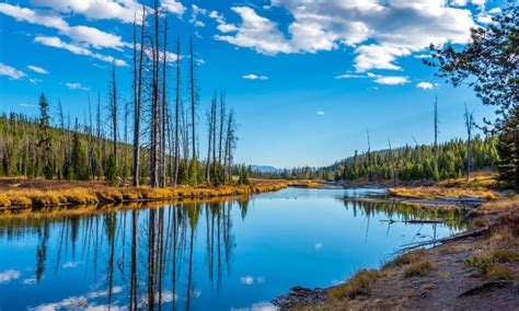 Quanti Fiumi Scorrono Attraverso Il Parco Nazionale Di Yellowstone