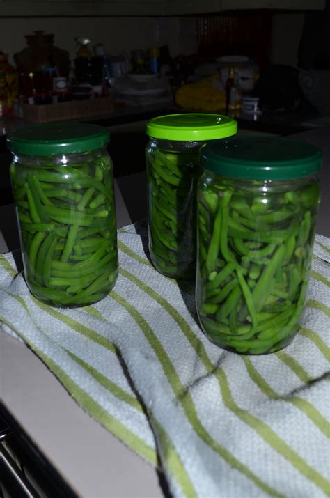 CONSERVES HARICOTS VERTS AU NATUREL