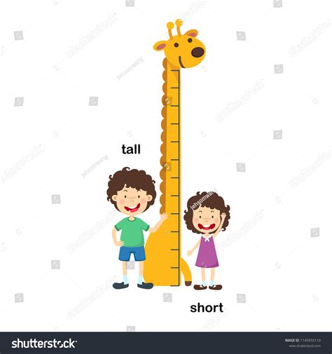 Opposite Tall Short Vector Illustration Stock Vector Royalty Free 1145955110