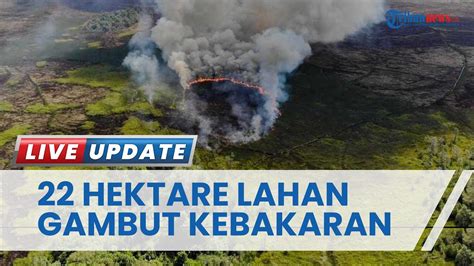 Dua Pekan Karhutla Hanguskan Hektare Lahan Gambut Di Kutai