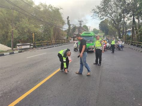 Motor Vs Bus Di Jalur Denpasar Gilimanuk Pemotor Luka Media Pelangi