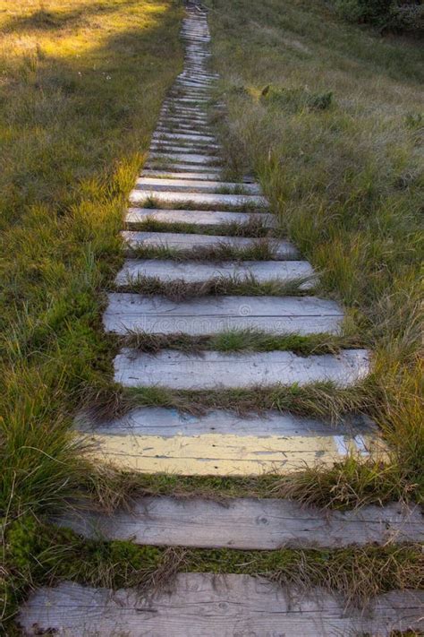 Walkpath De Madeira Resistido Grama Na Estrada De Madeira Vazia Da