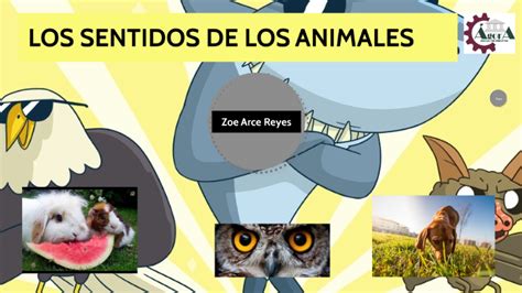 LOS SENTIDOS DE LOS ANIMALES by Zoe Briana Arce Reyes on Prezi