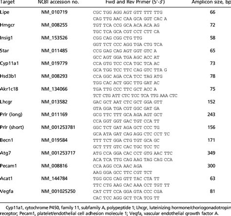 Real Time Pcr Primers Download Table