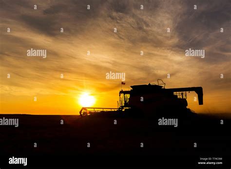 Combine silhouette hi-res stock photography and images - Alamy