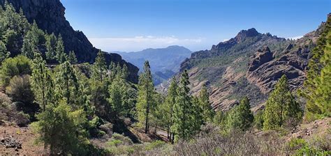 20210116 135444 Monumento Natural Del Roque Nublo Parque Flickr