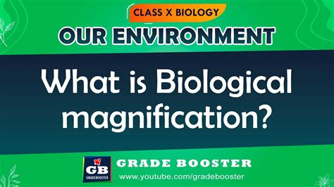 Our Environment Important Questions Q5 Cbse 10th Science Biology