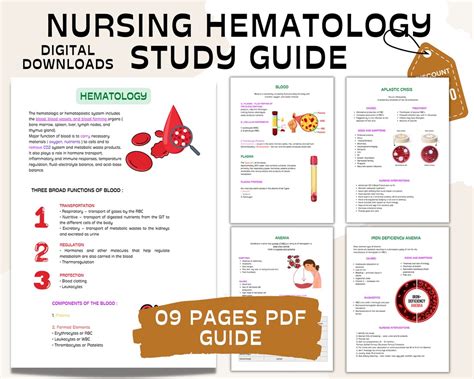 Hematology Disorders Hematologic Bundle Nursing Notes Nursing Study