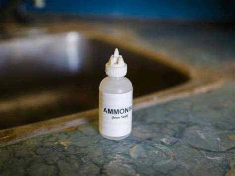 Does Ammonia Repel Skunks All You Need To Know