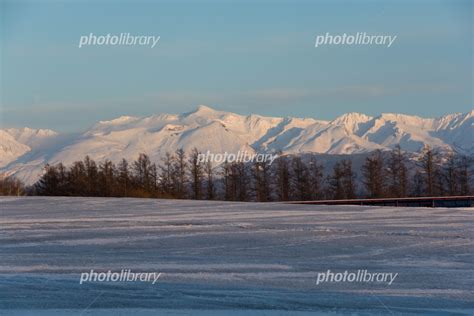 融雪剤が撒かれた雪の畑と夕暮れの山並み 十勝岳連峰 写真素材 5845542 フォトライブラリー Photolibrary