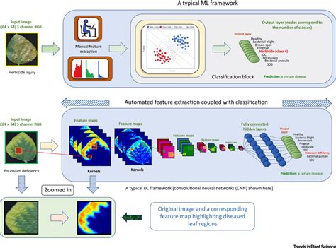 Computer Vision And Deep Learning For Agriculture Pyimagesearch