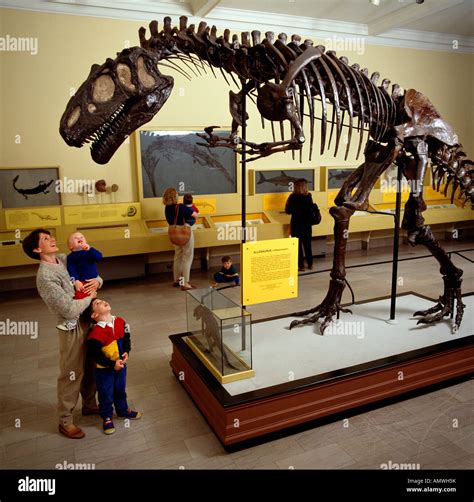 Dinosaur Hall At The Carnegie Museum Of Natural History, Pittsburgh ...