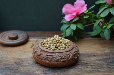 10 Top Medicinal Uses And Benefits Of Coriander Seeds Dhaniya