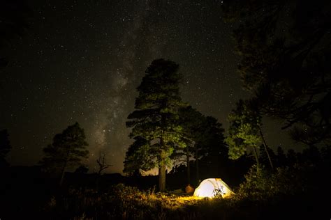 Fondos De Pantalla Luz De Sol Bosque Noche Naturaleza Estrellas