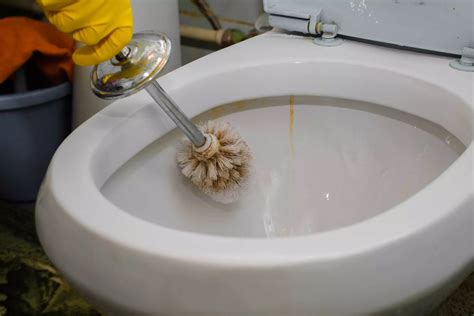 Removing Rust Stains From Toilets All Star Plumbing Company