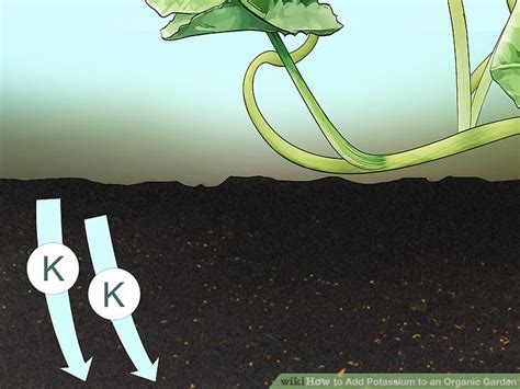 3 Ways To Add Potassium To An Organic Garden Wikihow