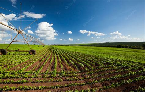 Brazil S Agriculture Gvp Second Highest In Year Period In