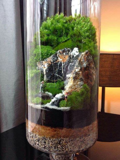 Stunning Bonsai Terrarium For Miniature Landscaping In The Jars