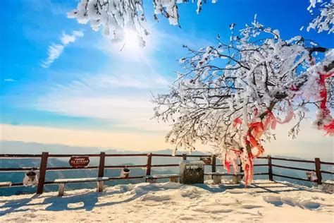 美炸了！仿若天上宫阙，雪后老君山雾凇云海，琼楼玉宇美成仙境 大河网