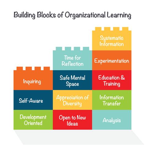 Building Blocks Of Organizational Learning Infographic Vector 11514625