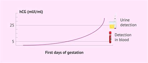 Early Pregnancy Hcg Levels Chart In Pdf Download