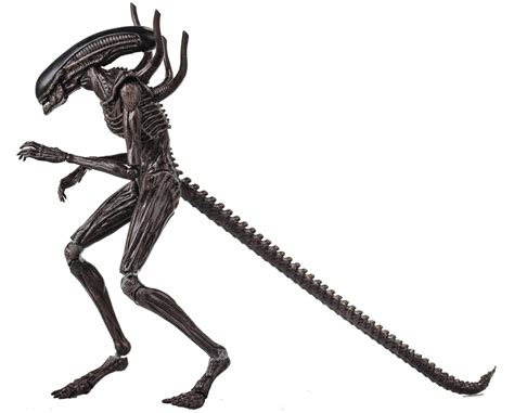 Alien Covenant Xenomorph Action Figure - Walmart.com - Walmart.com