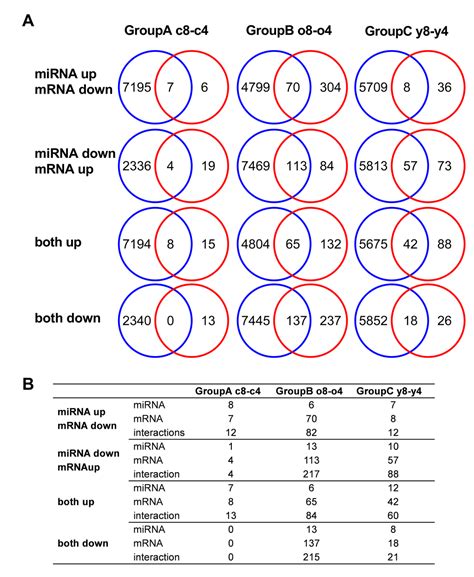 Expansion Induced Microrna Changes In Bone Marrow Mesenchymal Stromal