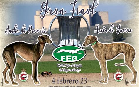 Federación Española de Galgos PREVIA FINAL DEL LXXXV CTO DE ESPAÑA DE