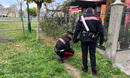 Venezia Furto Da 50mila Euro In Gioielleria A Burano Ma I Bonnie E