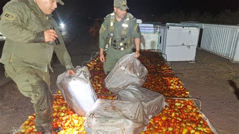 Gendarmer A Decomis M S De Kilos De Hojas De Coca