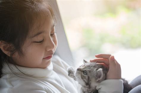 子どもが猫をほしがる！ 親が検討すべきポイントと子どもにお世話を促す方法｜みんなの子猫ブリーダー