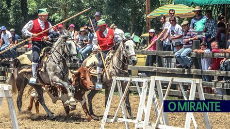 O MIRANTE Festa Da Amizade Oferece 5 Mil Quilos De Sardinhas Em Benavente