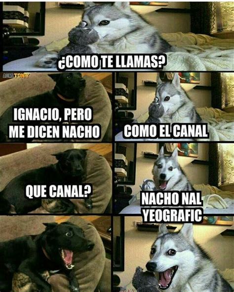 Nacho Nal Chistes Graciosos Memes Graciosos Memes Divertidos