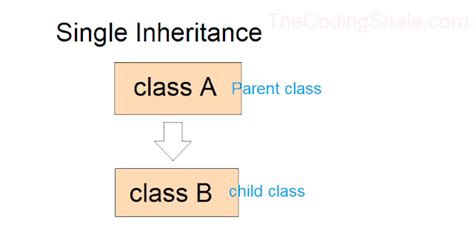 Java Inheritance The Coding Shala