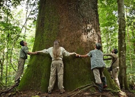 Descubra As Maravilhas Do Ecoturismo No Brasil Viajar Sozinho