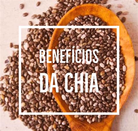 Conhe A Os Benef Cios Da Chia Cl Nica Cardiolife