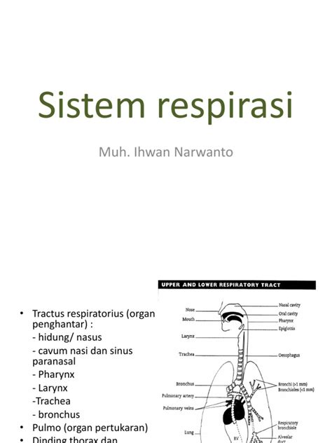 PDF Blok 7 Sistem Respirasi DOKUMEN TIPS