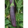 Semences Biologiques D Aubergine Longue Violette De Barbentane