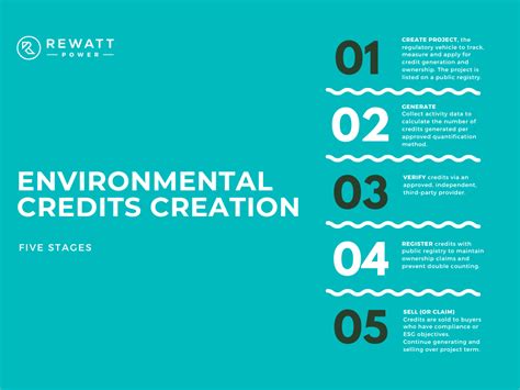 The Five Stages Of Carbon Credits Creation Rewatt Power