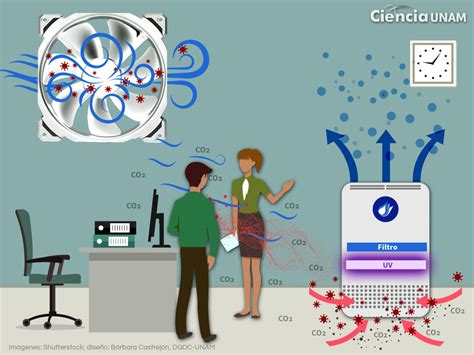 Coronavirus Cómo lograr una buena ventilación para el retorno a las