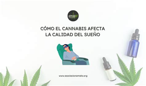 Cómo el cannabis afecta la calidad del sueño Asociación Amala de