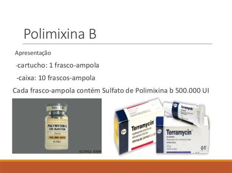 Slide de microbiologia polimixina b