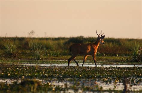 The Top 10 National Parks to Visit in Argentina