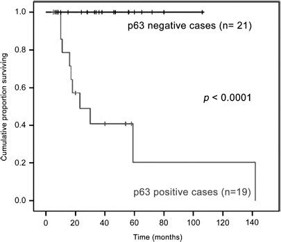 Expression Of P Is The Sole Independent Marker Of Aggressiveness In