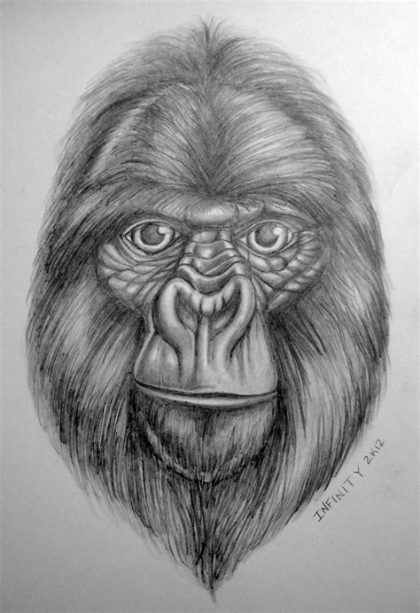 Gorilla Pencil Sketch w/ shading by Diamonicus on DeviantArt