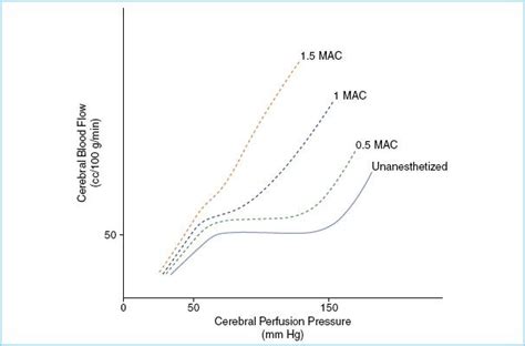 Anesthetic Effects On Cerebral Blood Flow And Metabolism Anesthesia Key