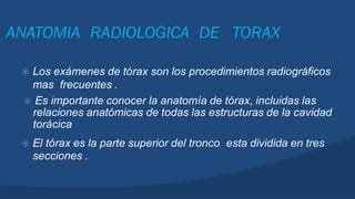 SESIÓN 08 A RADIOANATOMIA DEL TORAX pdf